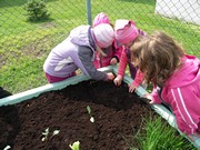 Zahradničíme ve školce